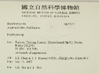 登錄號:F0032333藏品圖，第2張