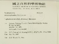 登錄號:F0032334藏品圖，第2張