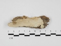 登錄號:F0032334藏品圖，第1張
