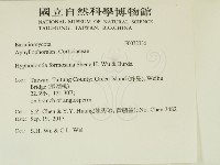 登錄號:F0032336藏品圖，第2張
