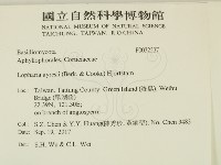 登錄號:F0032337藏品圖，第2張