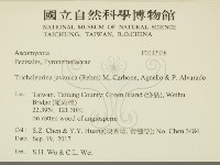 登錄號:F0032338藏品圖，第2張