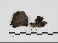 登錄號:F0032338藏品圖，第1張