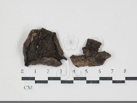 登錄號:F0032338藏品圖，第3張