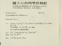 顯絲菌屬藏品圖，第2張