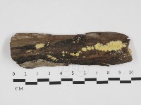 登錄號:F0032341藏品圖，第1張
