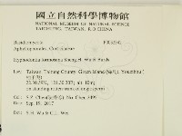 登錄號:F0032342藏品圖，第2張