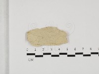 登錄號:F0032342藏品圖，第1張