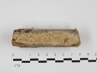 登錄號:F0032344藏品圖，第1張