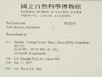 刺皮菌屬藏品圖，第2張