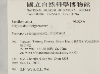 血紅密孔菌藏品圖，第2張