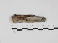 登錄號:F0032348藏品圖，第1張