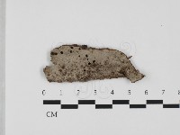 登錄號:F0032349藏品圖，第1張