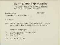 登錄號:F0032350藏品圖，第2張