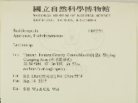 登錄號:F0032352藏品圖，第2張