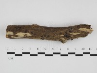 登錄號:F0032353藏品圖，第1張