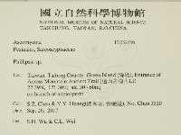 登錄號:F0032356藏品圖，第2張