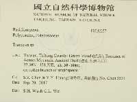 栓菌屬藏品圖，第2張