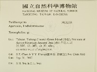 登錄號:F0032358藏品圖，第2張