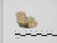 登錄號:F0032363藏品圖，第1張