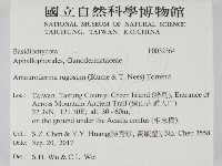 登錄號:F0032364藏品圖，第2張