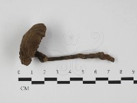 登錄號:F0032364藏品圖，第1張