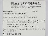 登錄號:F0032365藏品圖，第2張