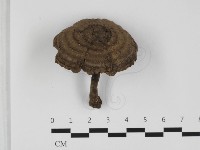 登錄號:F0032366藏品圖，第1張