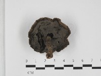 登錄號:F0032366藏品圖，第3張