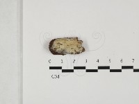 登錄號:F0032367藏品圖，第1張