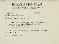登錄號:F0032368藏品圖，第2張