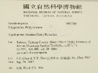 登錄號:F0032369藏品圖，第2張