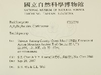 粗糙孢菌屬藏品圖，第2張