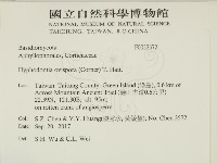 登錄號:F0032372藏品圖，第2張