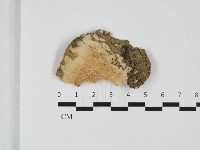 登錄號:F0032372藏品圖，第1張