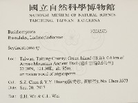 登錄號:F0032373藏品圖，第2張