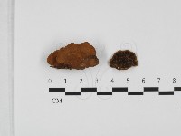 登錄號:F0032376藏品圖，第1張