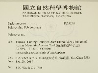 多孔菌屬藏品圖，第2張