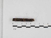 登錄號:F0032378藏品圖，第1張