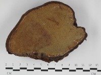 登錄號:F0032379藏品圖，第3張