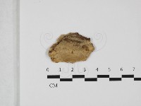 登錄號:F0032381藏品圖，第1張