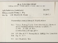 登錄號:F0032383藏品圖，第2張