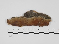 登錄號:F0032383藏品圖，第1張