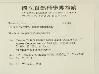 登錄號:F0032384藏品圖，第2張