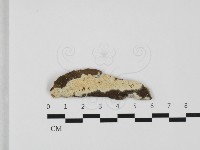 登錄號:F0032385藏品圖，第1張