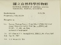 蜂窩菌屬藏品圖，第2張