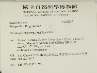 登錄號:F0032387藏品圖，第2張