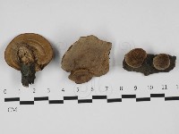 登錄號:F0032387藏品圖，第1張