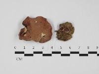 登錄號:F0032388藏品圖，第1張