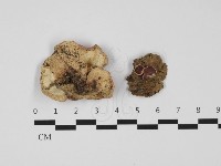 登錄號:F0032388藏品圖，第3張